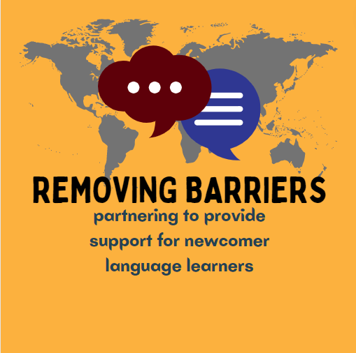 Removing Barriers logo