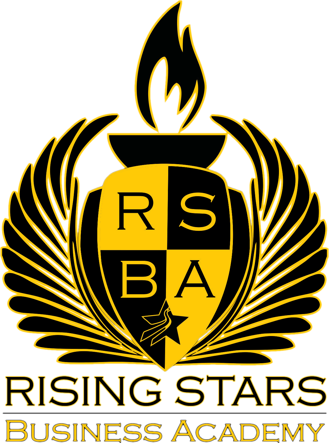 Rising Stars Business Academy logo